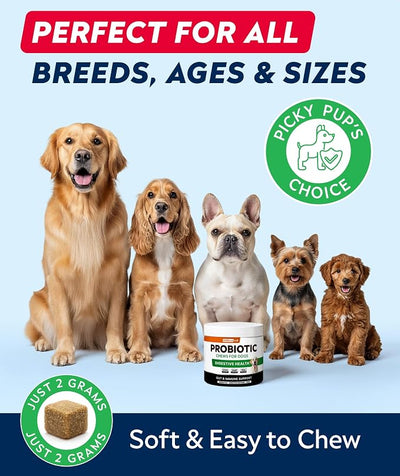 Dog Probiotics for Digestive Health & Enzymes - Diarrhea, Gas, Upset Stomach Relief & Season Allergy - Pet Probiotics for Dogs- Chews for Digestion - Gut Health for Dogs (60Ct)