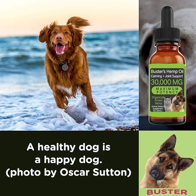 Busters Organic Hemp Oil 2Pack, 2Months Supply Treats for Dogs and Cats Perfect Ratio Omega 3 and 6 Made in USA Hip and Joint Health, Natural Relief, Calming