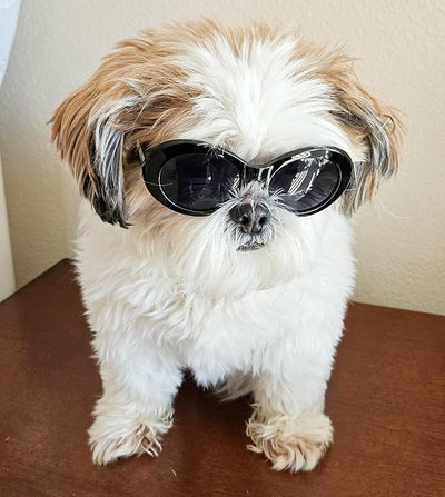 G009 Dog Pet Costume Prop Oval Sunglasses Small to Medium Breeds 15-25lbs Black