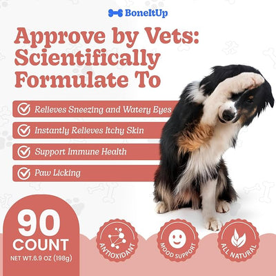 BoneItUp Soft Dog Allergy Chews for Itching, Sneezing, Paw Licking, Seasonal Allergies - Essential Omega-3, Turmeric & Quercetin for Dogs Allergies - Daily Immune & Digestive Dog Allergy Treats (90ct)
