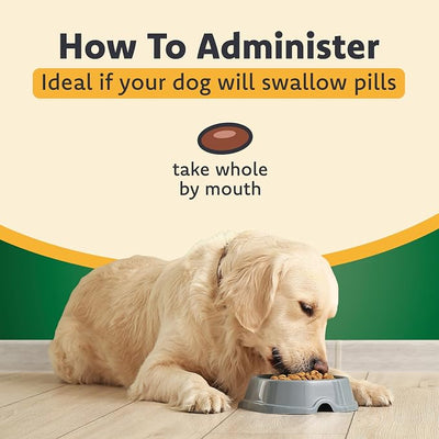 Ocu-GLO Vision Supplement for Medium to Large Dogs (45ct)