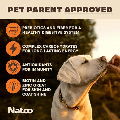 NATOO Biscuits for Small Dogs & Puppies, Sweet Potato & Pumpkin, 8 oz | Crunchy Dog Treats, Rich in Omega 6, Prebiotics & Fiber, Antioxidants for Immunity, Healthy Natural Canine Biscuits