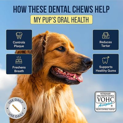 Tartar Shield® Soft Rawhide Dental Chews for Large Dogs | VOHC Accepted | Reduces Tartar, Controls Plaque & Freshens Breath | Vet Recommended | Bacon Flavor | USA Made | 24 Count