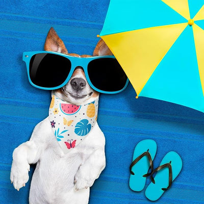 Weewooday 50 Pcs Fruit Dog Bandanas Bulk for Summer Soft Bibs Adjustable Triangle pet Bandana for Small Medium Large Costume(Fruits Pattern, 19.7 x 13.8 x 13.8 Inch)