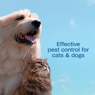 ADAMS Plus Flea and Tick Shampoo with Precor for Dogs, Cats, Puppies & Kittens, Treats Infestations, Kills Ticks, Flea Eggs & Lice, Cleans and Conditions Coat, 12 oz