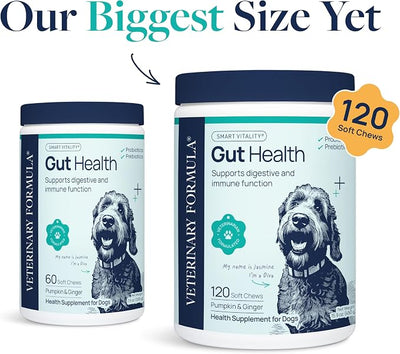 Veterinary Formula Gut Health Supplement for Dogs – Vet-Formulated Probiotic Chews with Digestive Enzymes & Fiber – Smart Vitality Support Digestive Health, Gut Balance & Stool Quality, 120 Soft Chews