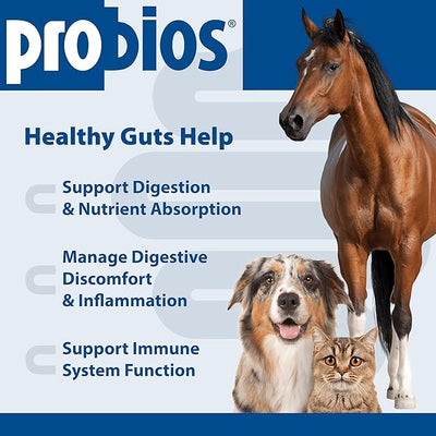 Probios Digestive Support Probiotic for Dogs, Horses, Cats, Gut Health Powder for All Species, Daily Supplement for Digestion Immune Support, 5 lbs