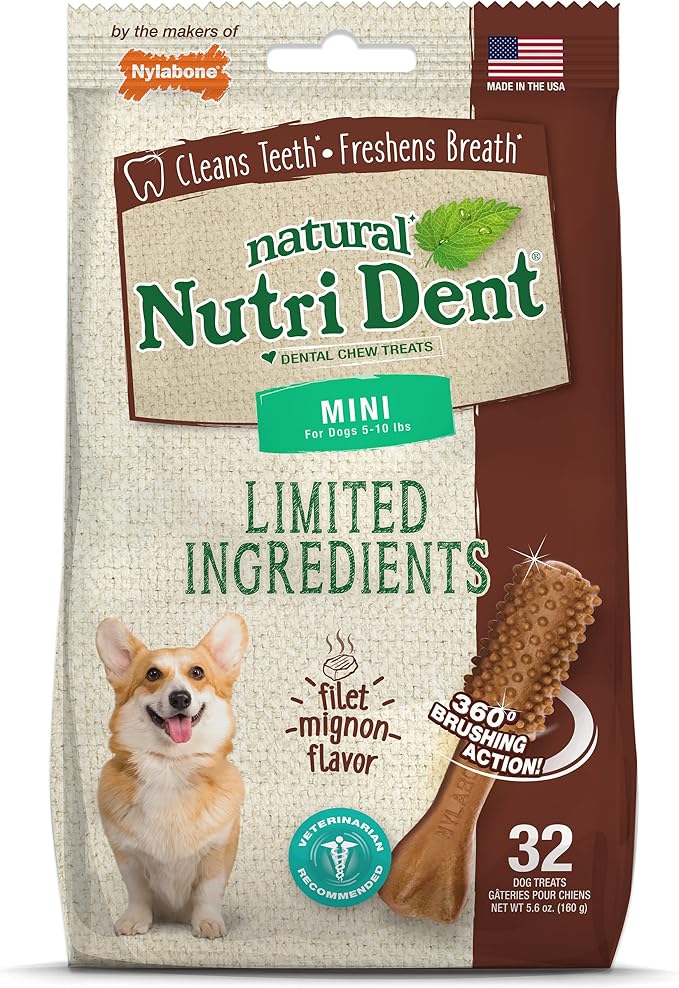 Nutri Dent Dog Dental Chews - Natural Dog Teeth Cleaning & Breath Freshener - Dental Treats for Dogs - Filet Mignon Flavor, Mini (32 Count)