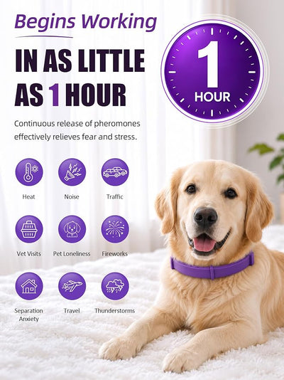 Calming Collar for Dogs 4 Pack, Waterproof Dog Calming Collar for Anxiety and Stress Relief, Long-Lasting 60-Day Pheromone Collars for Dog, Adjustable for Medium Big Dogs (Purple, Large)