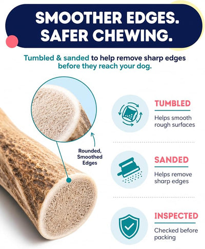 Onward Hound Elk Antlers for Dogs, 7 Inch+ Large Whole Antler Chews, Natural Dog Antlers for Aggressive Chewers, Long Lasting Dog Chew, Single Ingredient, Low Odor No Greasy Mess, Made in USA, 3-Pack