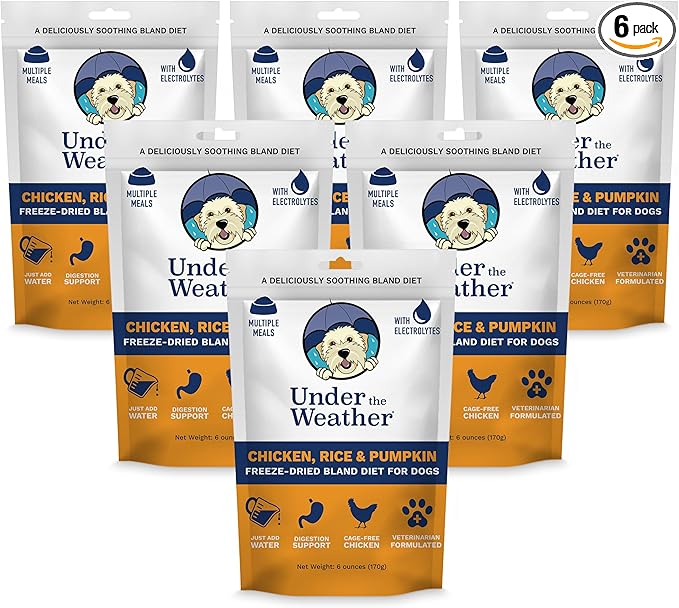 Bland Diet for Dogs | Easy to Digest for Sick Dogs |Always Be Ready | Contains Electrolytes - All Natural Freeze Dried 100% Human Grade Meats | 6 Pack - Rice, Chicken & Pumpkin - 6oz