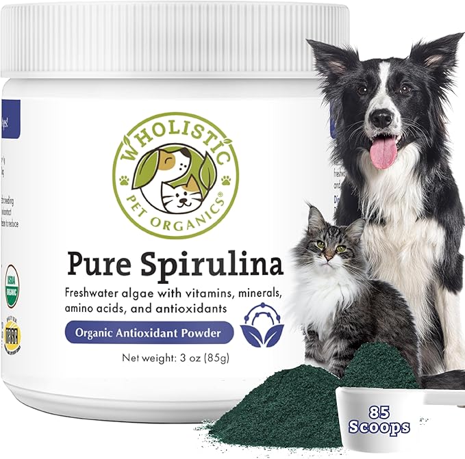 Spirulina Powder for Dogs and Cats - Antioxidant Support for Dogs and Cats - Immune Support Supplement, Promotes Overall Wellness - Human-Grade Superfood for Pets - 85 Scoops