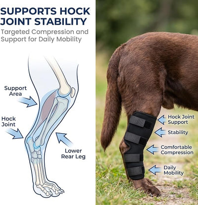 Dog Knee Brace for Hind Leg, Dog Hock Brace for Back Leg Support, Adjustable ACL CCL Brace for Dogs, Rear Leg Support for Joint Stability, Recovery & Mobility, Small Medium Large Dogs (Black, L)