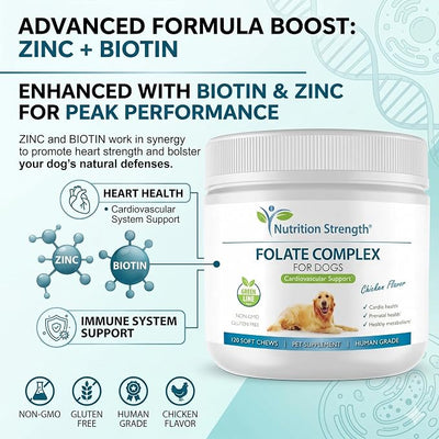 Folate for Dogs to Promote Cardiovascular & Prenatal Health, Support DNA Synthesis & Cell Maintenance, Folic Acid for Dogs with Zinc, Biotin, Iron & Vitamin B12, 120 Soft Chews