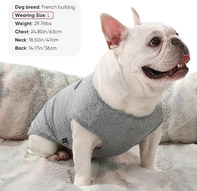 3 Pack Lightweight Sun Protection Dog Shirt Breathable Sleeveless Dog T Shirts Extra Soft Top Tank Dog Clothes for Outdoor Activities (Dark Gray + Sky Blue + Lake Blue, Medium)