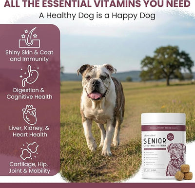 Senior Dog Vitamins and Supplements - 120 Soft Chew Multivitamin for Dogs | Hip and Joint Support, Advanced Formula with Glucosamine, Omega 3, 6, 9, Vitamins, & Probiotics