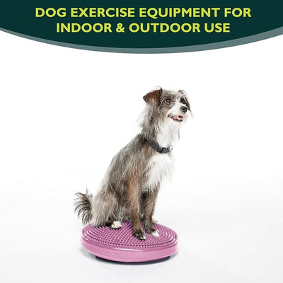 FitPAWS® Dog Balance Disc – 14”, Razzleberry | Dog Exercise Equipment | Workout Tool for Strength, Core, Stability & Rehabilitation