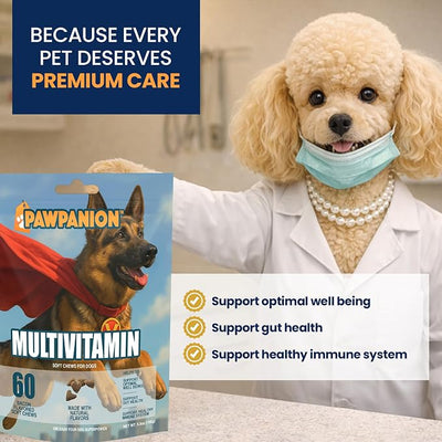 Multivitamin Soft Chews for Dogs Full Body Support 60 Count