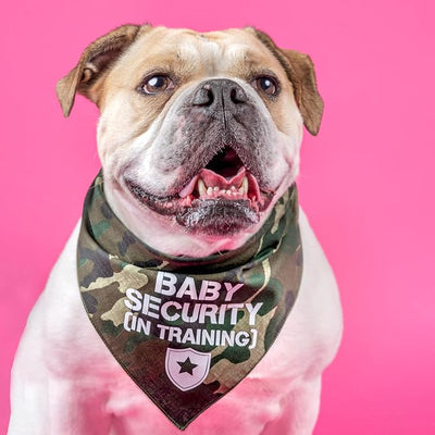 Baby Security in Training Dog Bandana | 100% Cotton Adjustable Triangle | Made in USA | New Baby | Pregnancy Announcement Photoshoot Prop | Gender Reveal | Turquoise X-Small (223)