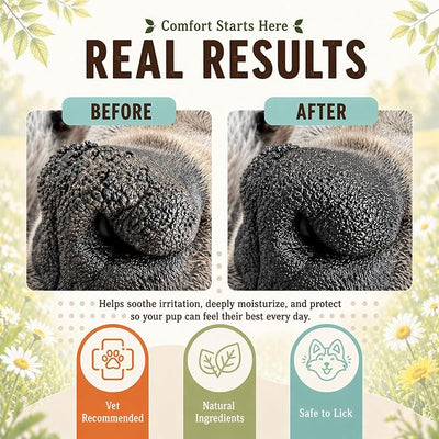 Natural Dog Company Snout Soother Dog Nose Balm – Moisturizer for Dry Crusty Noses, Summer Care for Outdoor Dogs, Hot Weather, Beach Days & Walks with Coconut Oil & Shea Butter, 1 oz Tin