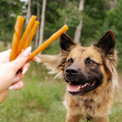 Cadet Chewalicious Classic Chewy Twists with Real Peanut Butter, Rawhide-Free Healthy Dog Chews, Limited-Ingredient & Long-Lasting Chew Treats for Dogs, Peanut Butter Flavor, 15 Count