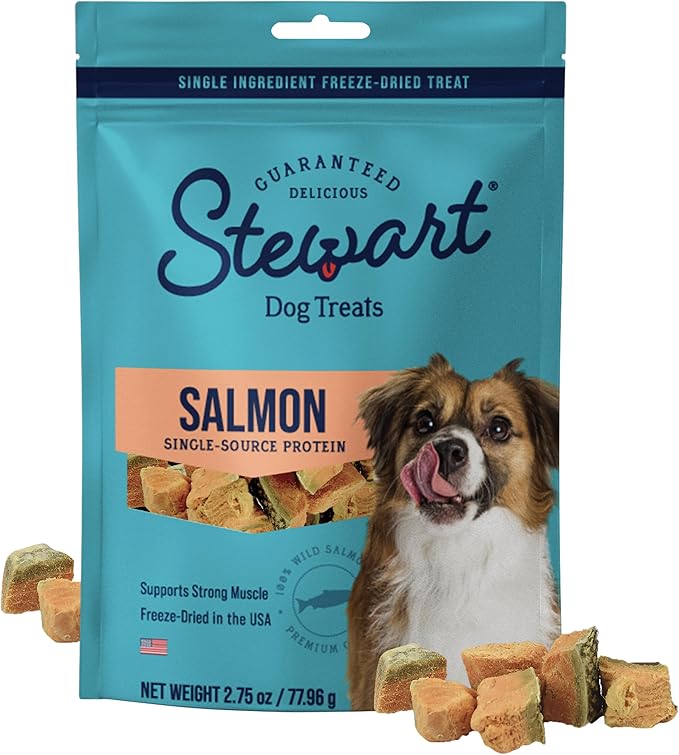 100% Wild Salmon Dog Treats, 2.75 oz Pouch, ~55 Pieces, Freeze Dried Raw, Single Ingredient, 65% Protein Training Treats or Meal Topper, Grain Free, Gluten Free