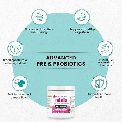 Nootie Progility Mini Pre & Probiotic Supplement, Digestive Aid Supplement for Dogs, 60 Soft Chews per Container