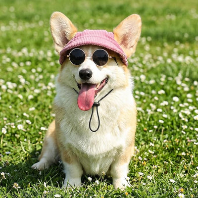 Dog Sun Hat with Sunglasses for Small Dogs Cats, Pink Corduroy Visor Cap with Ear Holes, Gold Frame Round Pet Sunglasses Summer Outdoor Accessories for Toy Poodle, Bichon, Maltese