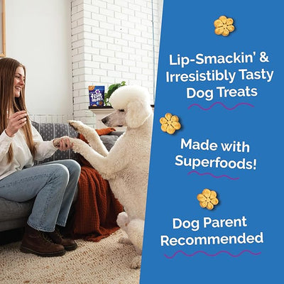Fruitables Baked Dog Treats, Healthy Pumpkin Treat for Dogs, Low Calorie & Delicious, Made Without Wheat, Corn and Soy, Made in the USA, Allergy Friendly, Pumpkin and Blueberry Flavor, 32 oz