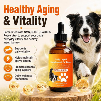 Dog Longevity Supplement with NMN, NAD+, CoQ10 & Resveratrol | Supports Joint Health, Vitality & Healthy Aging – 60-Day Nanoliposomal Drops for Better Absorption