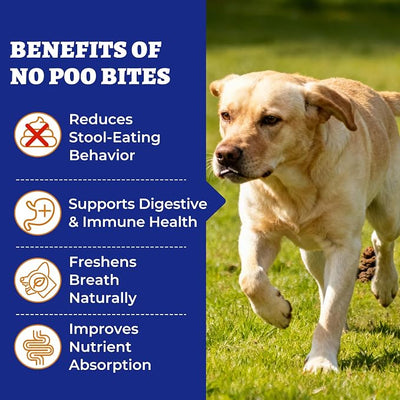 Wellix 550 Bites No Poo Chews for Dogs - Stool Eating Deterrent for Dogs Coprophagia Relief with Probiotics Digestive & Gut Health - Support Breath Freshener & Immune System, Chicken & Pumpkin Flavor