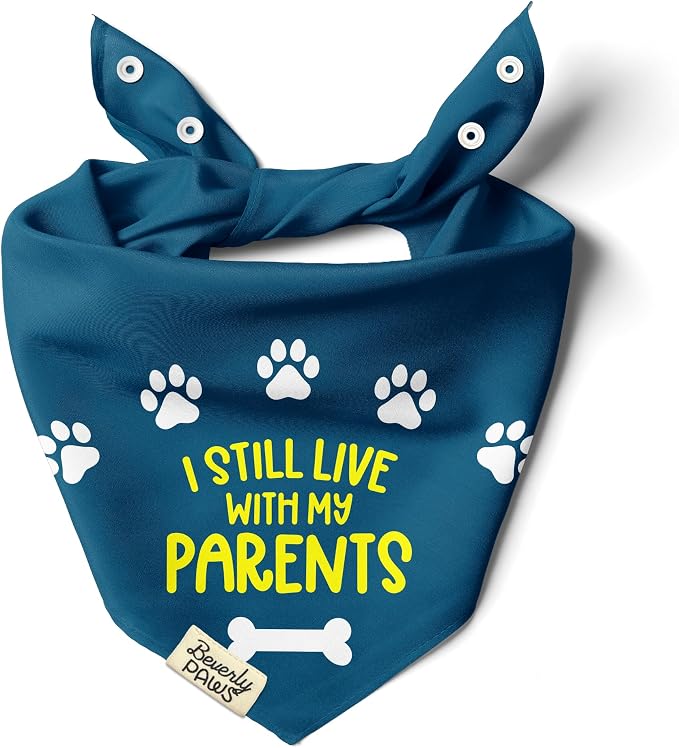 Funny Snap-On Dog Bandana for Small Medium Large Pets, Dogs Cats Adjustable Handkerchief Scarf for Girl & Boy, Cute Puppy Apparel & Accessories (Still Live with Parents, Medium)