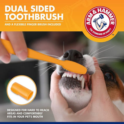 Arm & Hammer for Pets Tartar Control Dog Dental Kit, Enzymatic Toothpaste with Toothbrush and Fingerbrush, Baking Soda Formula Reduces Plaque and Tartar, Safe for Puppies, Beef Flavor, 3 Pc - 48 Pack