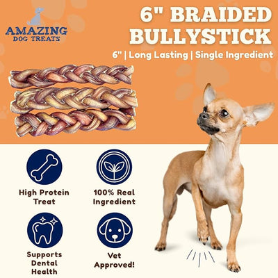 Amazing Dog Treats 6" Braided Bully Stick (10 Pcs/Pack) - Bully Stick for Dogs - Made from Premium Grass Fed Argentinian Beef