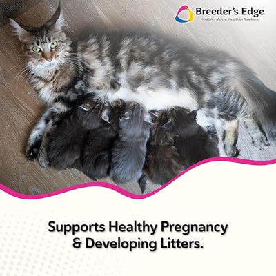 Breeder’s Edge Oxy Mate, Prenatal Vitamin Supplement for Pregnant Dogs and Cats, Supports Healthy Pregnancy, Red Blood Cell Production & Fetal Development, 30ct Meat Chew Treats