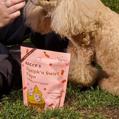 Bocce's Bakery Pumpk’n Swirl Froyo Dog Treats – Natural, Wheat-Free Soft & Chewy Cookies Made with Real Ingredients – Baked in The USA and Topped with Beets & Sprinkles, 6oz