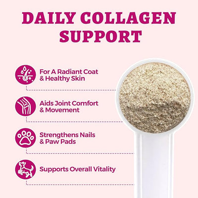 Wellix 7.05oz Natural Collagen Powder for Cats & Dogs - Healthy Skin,Coat,Hip and Joint Supplement for Cat - with MSM,Vitamin C,E,Hyaluronic Acid for Pet Support - Chicken Flavor