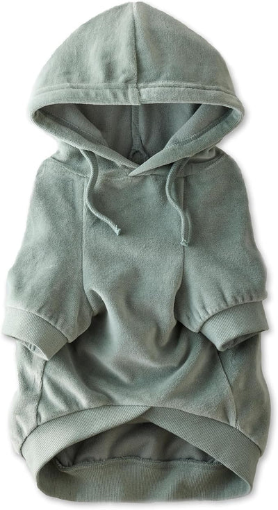 Pet Passion Cooper II Organic Cotton Velour Dog Hoodie Pet Coat for Small, Medium and Large Dogs, Sage, Medium (20-45 lbs)