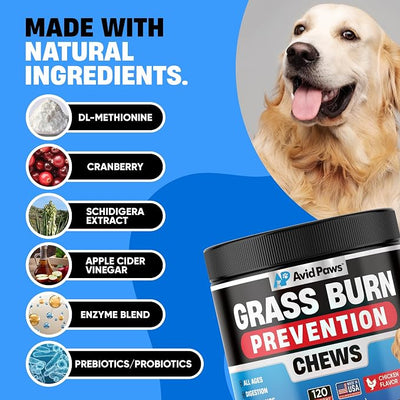 Dog Urine Neutralizer for Lawn - Green Grass Chews to Help Prevent Lawn Burn - Dog Pee Neutralizer & Grass Saver - Urinary & Bladder Support for All Breeds + Ages