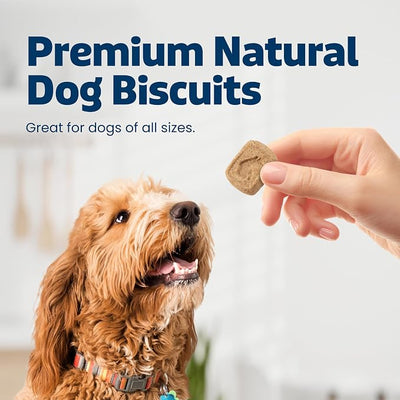Blue Buffalo Health Bars Bananas & Yogurt Crunchy Dog Biscuits, Oven-Baked with Real Bananas & Natural Ingredients, Healthy Dog Treats with No Artificial Flavors or Preservatives, 16 oz.