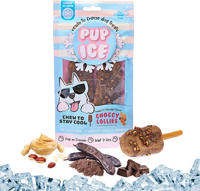 Pup Ice Dog Treats – Freeze-at-Home Edible Chews for Medium Breed Dogs & Puppies, Safe Peanut & Carob Flavor (No Chocolate), 2ct Rocket Lollies with Real Chicken