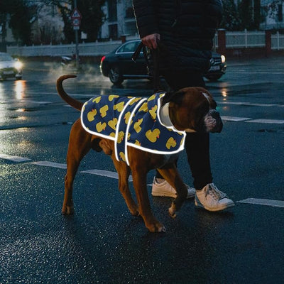 Dog Raincoat for Small Dogs Puppies Waterproof Jacket Hooded Rain Coats with Reflective Strips Leash Hole & Poncho Adjustable Fit (Duck,XS)