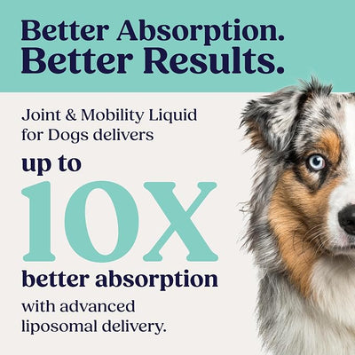 Summit Canine Joint and Mobility Supplement for Medium Dogs, All Natural Liquid Chondroitin, Liposomal Delivery for Arthritis, Hip & Joint Support Vitamin, (Dogs, 25-75lbs)
