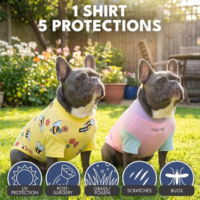Spark Paws Sunblock Dog T-Shirt, SPF30 Protection, Lightweight Breathable Quick Dry for Dogs with Sensitive Skin - Bees & Gelato (Set of 2) - Size XL