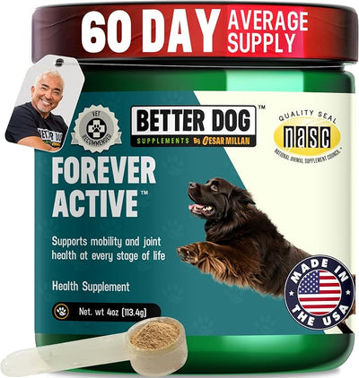 Better Dog Supplements by Cesar Millan® Forever Active – Natural Dog Hip & Joint Care for Mobility, Flexibility & Comfort – Herbal Blend Dog Joint Supplement Powder – 4oz (60-Day Supply)