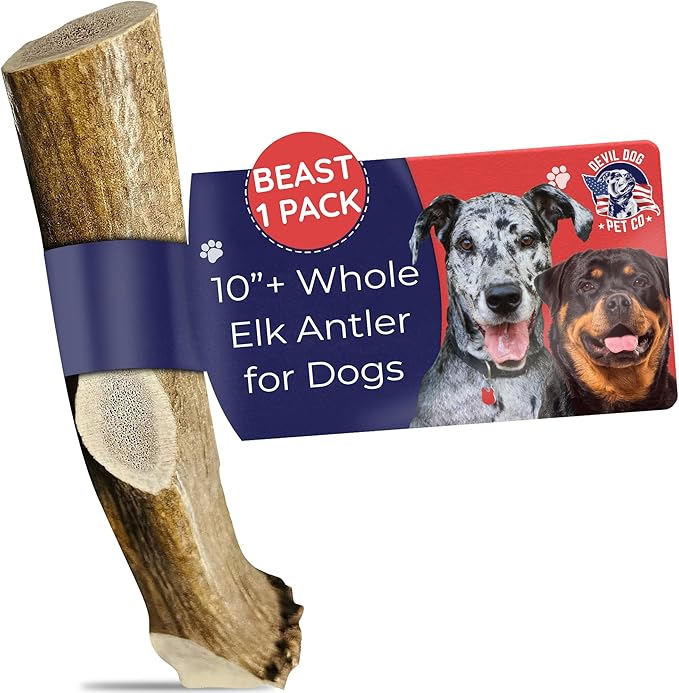 Elk Antlers for Dogs, Natural Dog Chew for Aggressive Chewers - Long Lasting and Odor Free - USA Sourced - Cleaner Teeth, Anxiety & Boredom Relief - Whole Beast 10"+ - Antler Bone