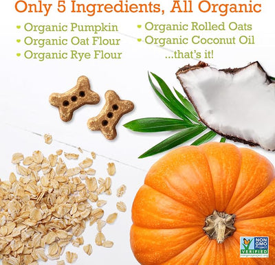 Riley's Dog Biscuits - Organic & Crunchy Small Dog Treats for Training and Reward - All Natural Bone Biscuits Made in USA - 12oz, Pumpkin with Coconut