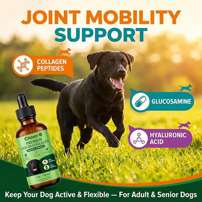 Clover Collagen for Dogs, Triple Hydrolyzed Liquid Collagen Peptides with Glucosamine and Hyaluronic Acid, Joint Mobility Support, Skin and Coat Supplement Drops (2PCS)
