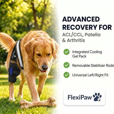 Dog Knee Brace for Torn ACL Hind Leg CCL, Luxating Patella & Hip Support with Cold Therapy, Stabilizer Rods, Anti-Slip Torso Strap & Reflective Trim Rear Leg Brace (Large)
