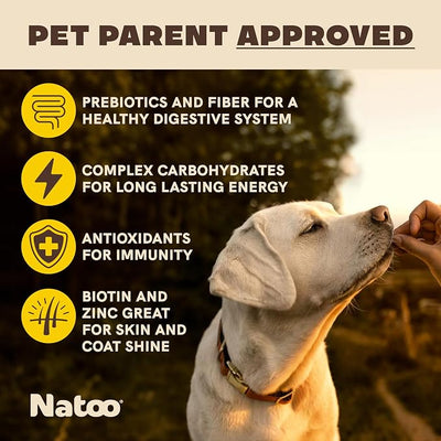 NATOO Dog Treats, Oats Banana and Honey, Small Dogs & Puppies, 8oz | Crunchy Biscuits, Rich in Omega 6, Prebiotics and Fiber, Antioxidants for Immunity, Natural